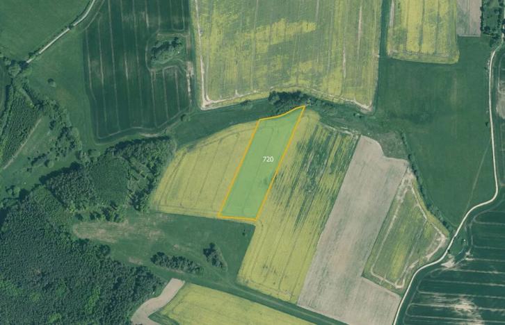 Prodej pole, Bernartice, 15736 m2