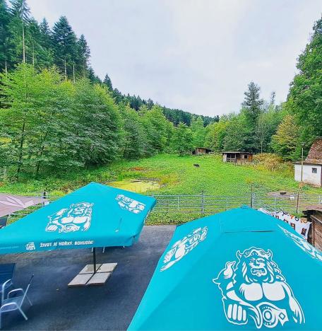 Prodej ubytování, Valašské Klobouky, Brumovská, 467 m2