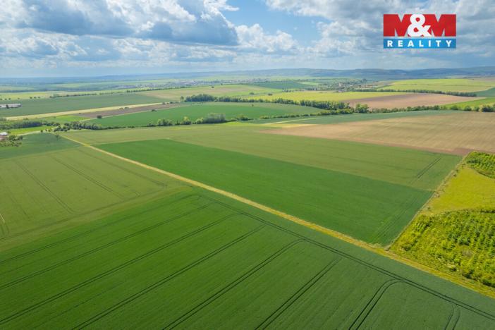 Prodej pole, Šumice, 37901 m2