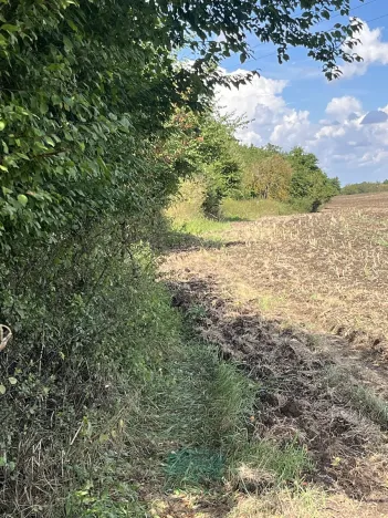 Prodej louky, Praha - Královice, 698 m2