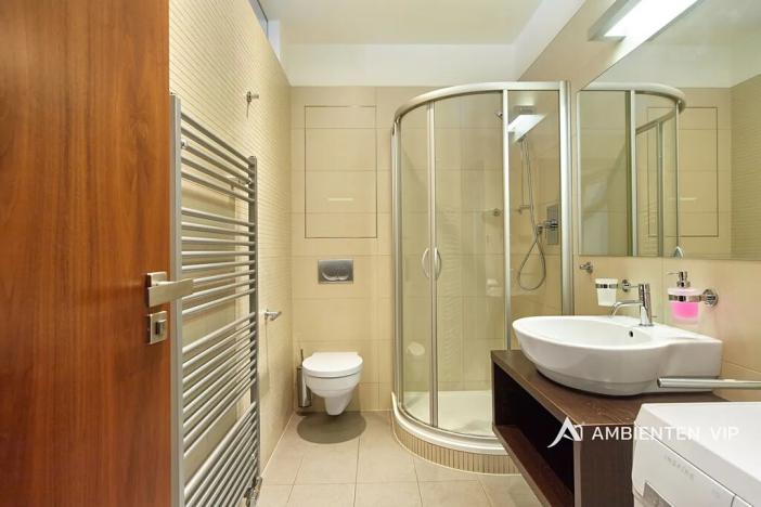 Pronájem bytu 1+kk, Brno, Kopečná, 37 m2