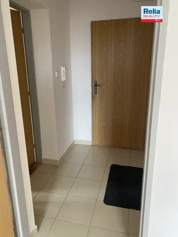 Pronájem bytu 1+1, Liberec, Havlíčkova, 45 m2