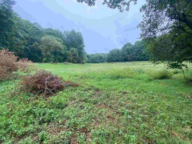 Prodej pole, Úterý - Vidžín, 11289 m2