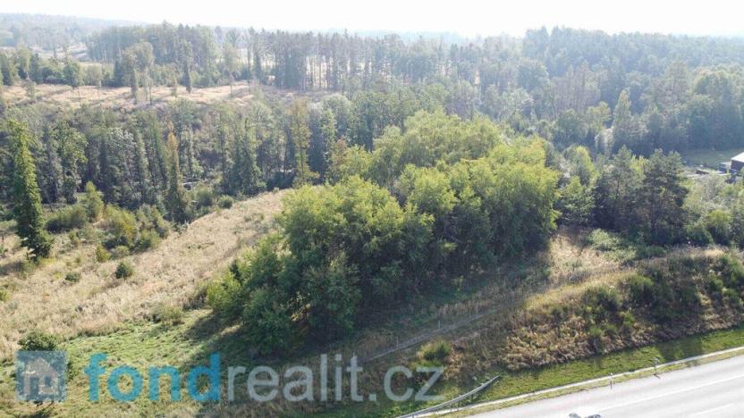 Prodej pozemku, Borek, 1351 m2