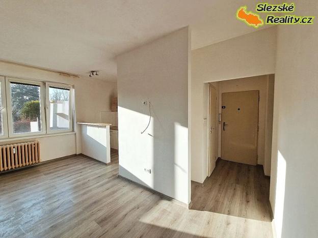 Pronájem bytu 1+kk, Ostrava, Krakovská, 22 m2