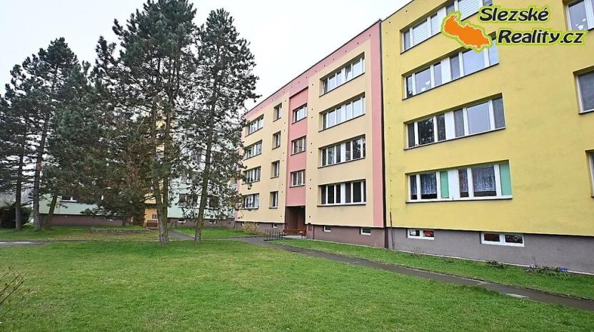 Pronájem bytu 1+1, Paskov, Papírenská, 44 m2