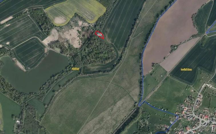 Prodej lesa, Smidary, 1435 m2