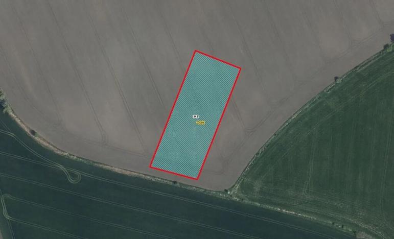 Prodej pole, Kněžice, 5667 m2