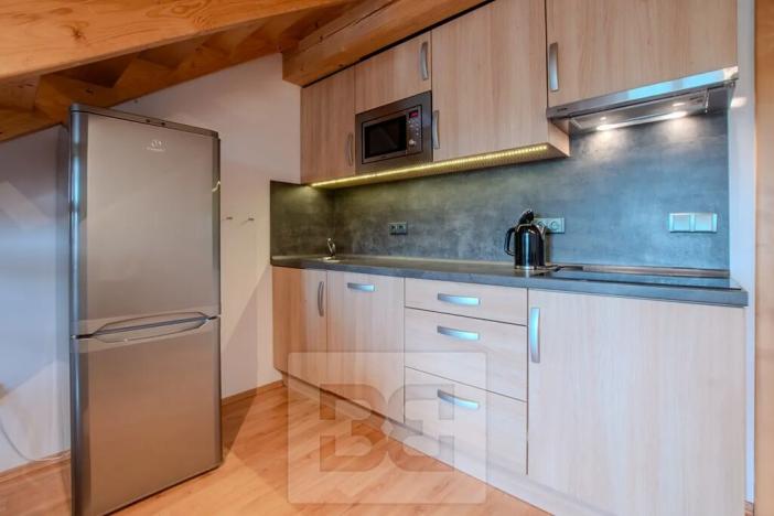 Pronájem bytu 3+kk, Vítkovice, 74 m2