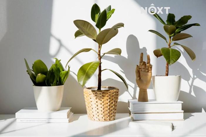 Prodej rodinného domu, České Budějovice, Nádražní, 106 m2