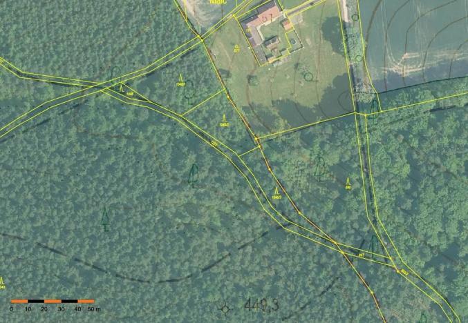 Prodej lesa, Probulov, 3017 m2