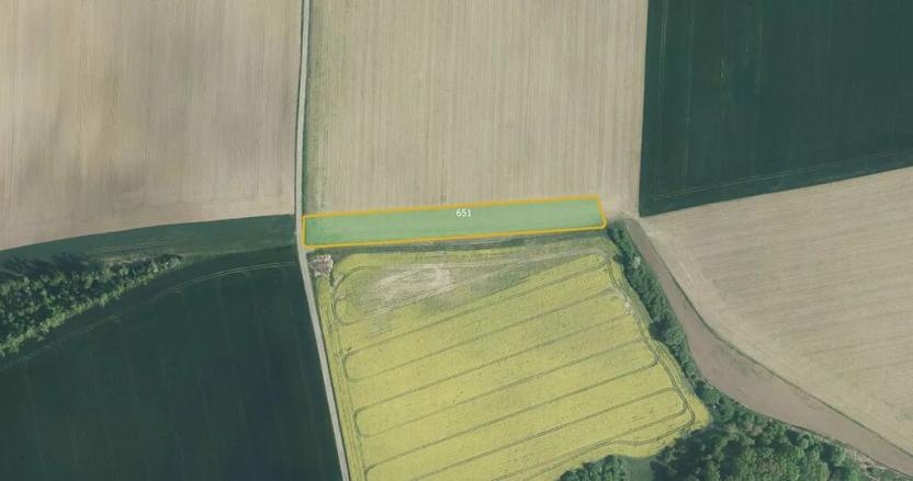 Prodej pole, Turovice, 7608 m2