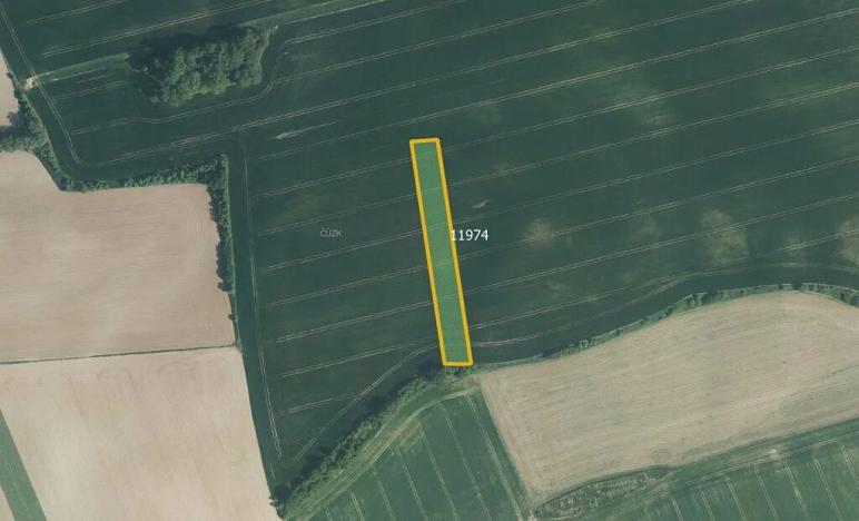 Prodej pole, Čechy, 41619 m2