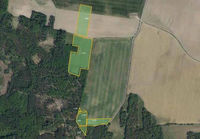 Prodej pole, Vlčí Habřina, 19647 m2