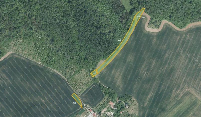 Prodej pole, Hoštice, 17754 m2