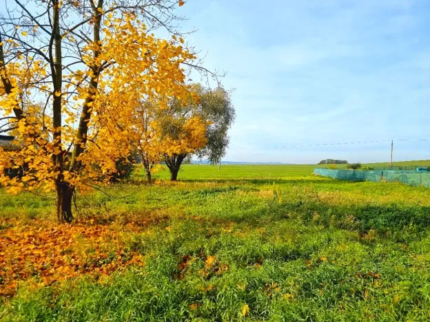 Prodej pozemku pro bydlení, Boseň, 2051 m2