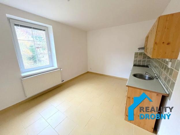 Pronájem bytu 2+1, Děčín, Družstevní, 80 m2