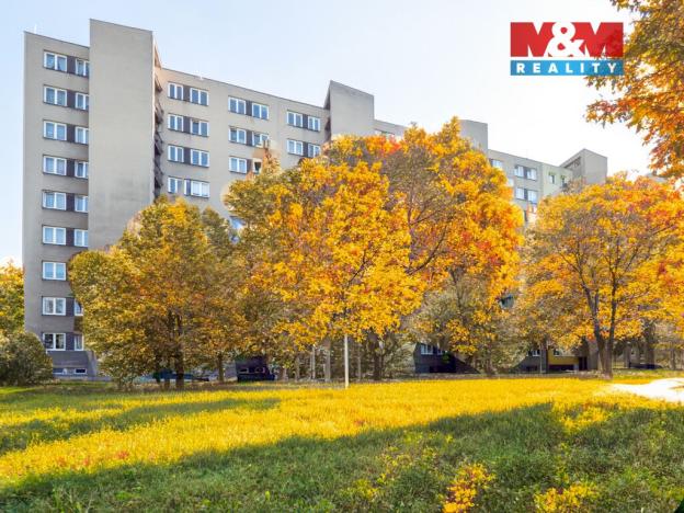 Prodej bytu 3+1, Praha - Záběhlice, Svojšovická, 80 m2