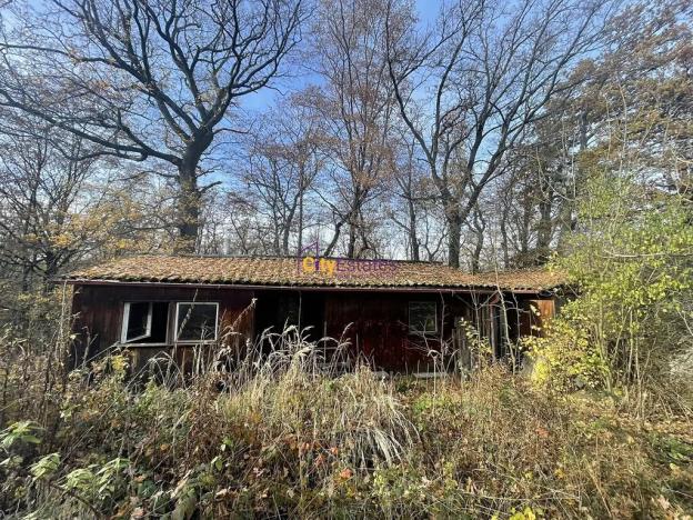 Prodej louky, Popovičky, 1643 m2