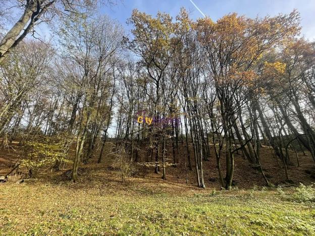 Prodej louky, Popovičky, 1643 m2