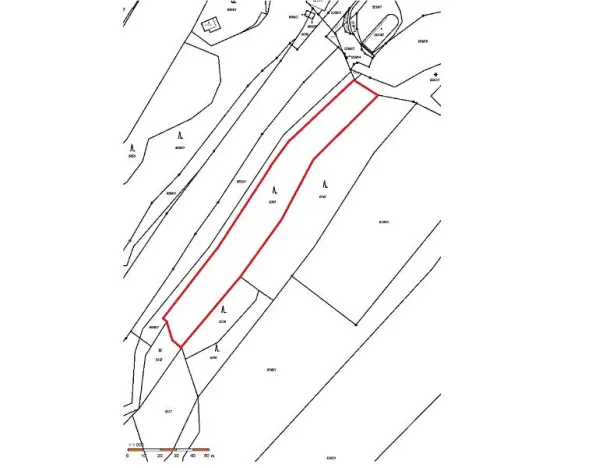 Prodej lesa, Velké Meziříčí, 3927 m2
