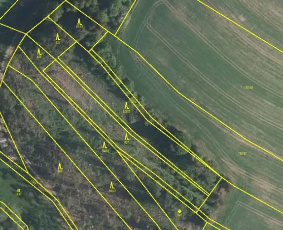 Prodej lesa, Vyskytná, 4964 m2