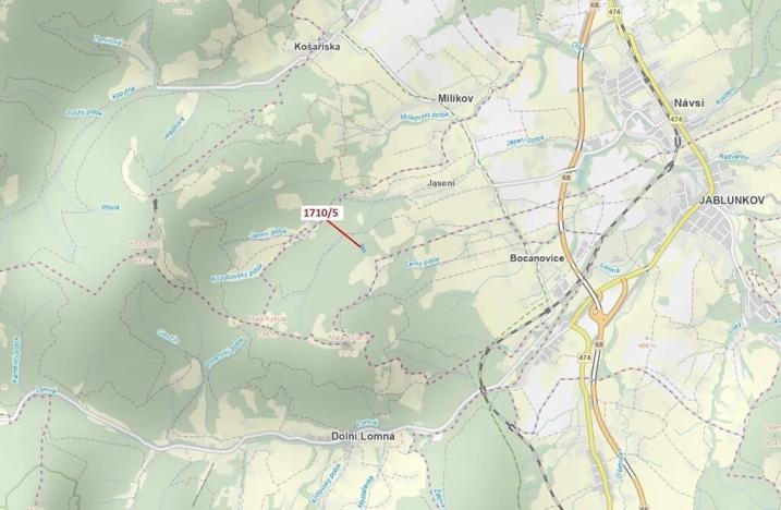 Dražba lesa, Návsí, 3528 m2