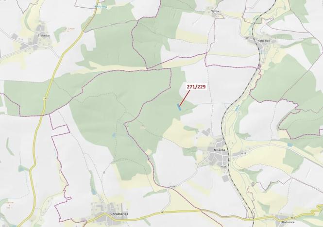 Dražba lesa, Milavče, 3695 m2