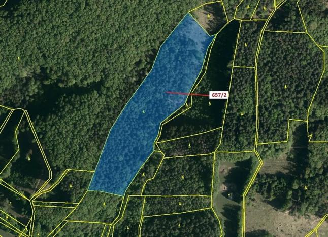 Dražba lesa, Neubuz, 22874 m2