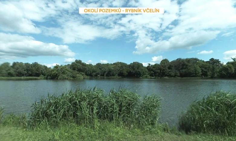 Prodej podílu pozemku pro bydlení, Břeclav, 656 m2