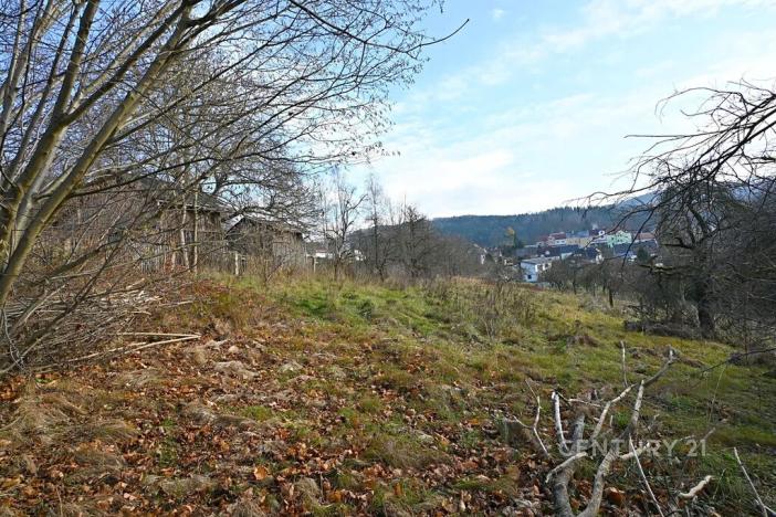 Prodej pozemku pro bydlení, Dolní Poustevna, 1280 m2
