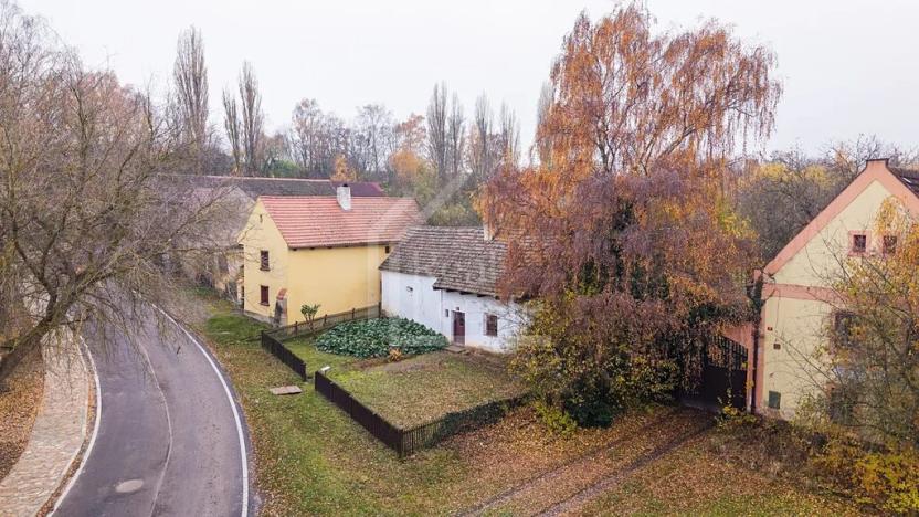 Prodej pozemku, Třebíz, 161602 m2