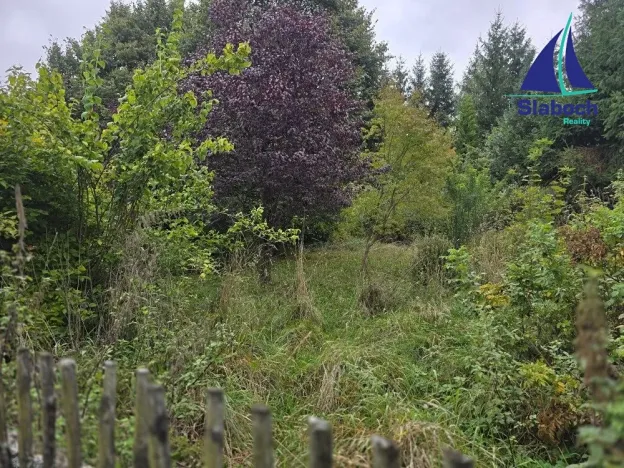 Prodej chaty, Seč, 60 m2