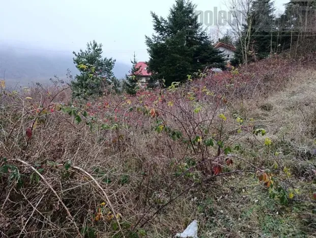 Prodej pozemku pro bydlení, Hradištko, Květná, 1742 m2