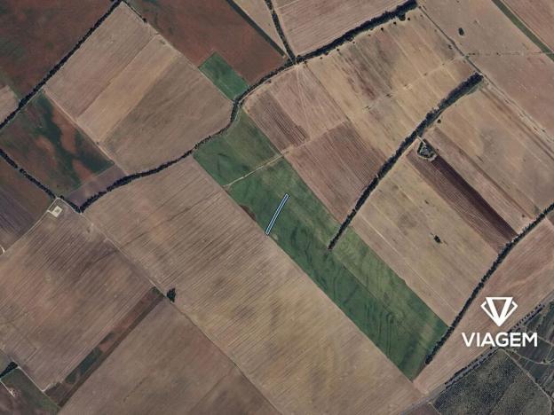 Prodej pole, Mikulčice, 2352 m2