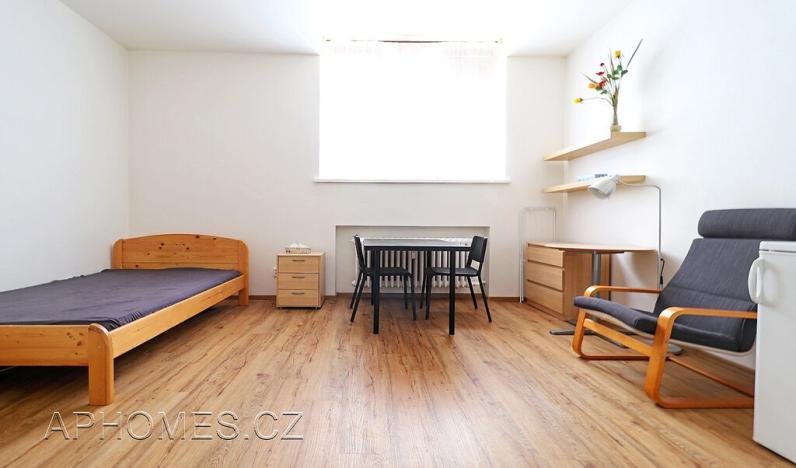 Pronájem bytu 1+kk, Praha - Nusle, Petra Rezka, 32 m2