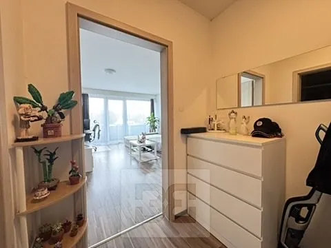 Pronájem bytu 2+kk, Brno, Tuřanské náměstí, 55 m2