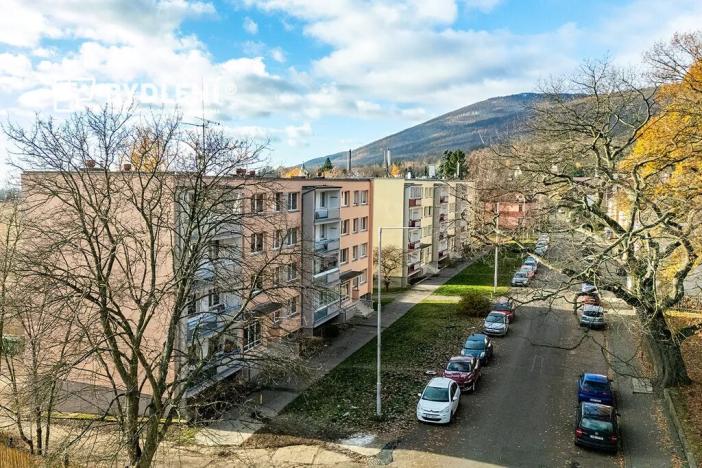 Prodej bytu 1+1, Hrob, Rybniční, 27 m2