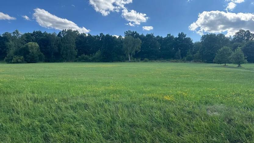 Prodej pozemku pro bydlení, Albrechtice nad Vltavou, 5665 m2