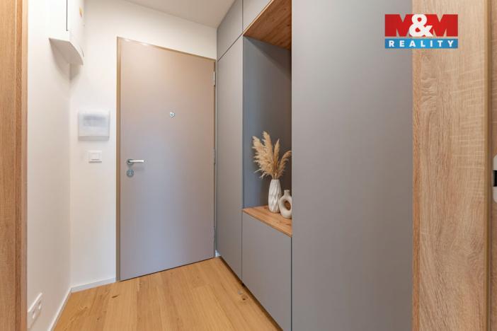 Pronájem bytu 1+kk, Brandýs nad Labem-Stará Boleslav - Brandýs nad Labem, Dřevčická, 38 m2