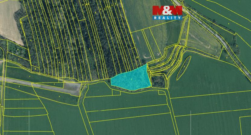 Prodej lesa, Koloveč, 13001 m2