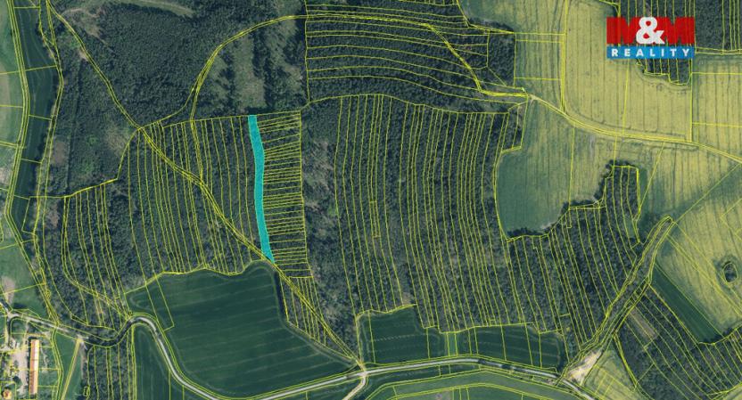 Prodej lesa, Koloveč, 13001 m2