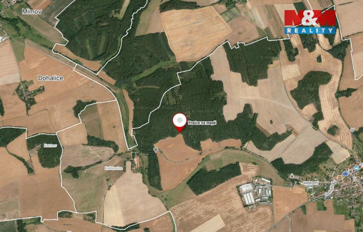 Prodej lesa, Koloveč, 13001 m2