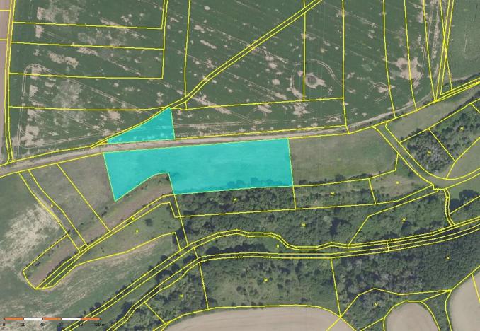 Prodej pole, Břežany II, 9795 m2