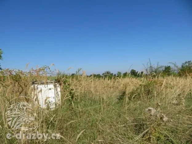 Dražba zahrady, Grunta, 689 m2