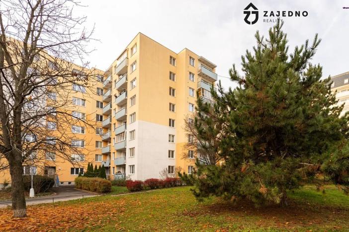 Pronájem bytu 1+1, Brno, Hochmanova, 39 m2