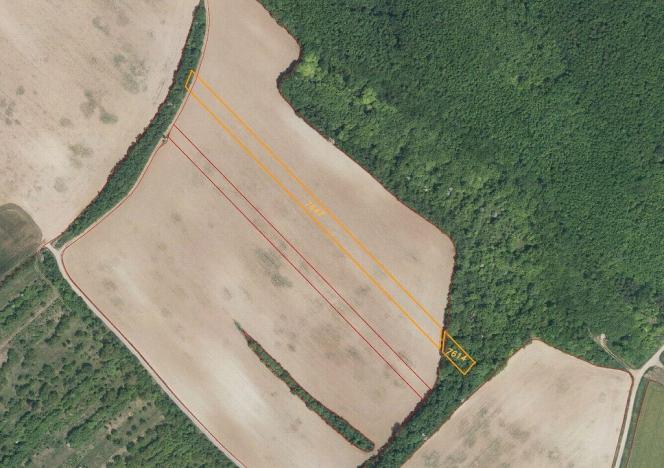 Prodej pozemku, Lovčice, 7375 m2