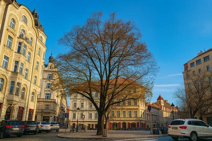 Prodej bytu 2+kk, Praha - Staré Město, 44 m2