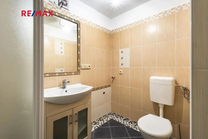 Prodej chalupy, Čenkovice, 175 m2