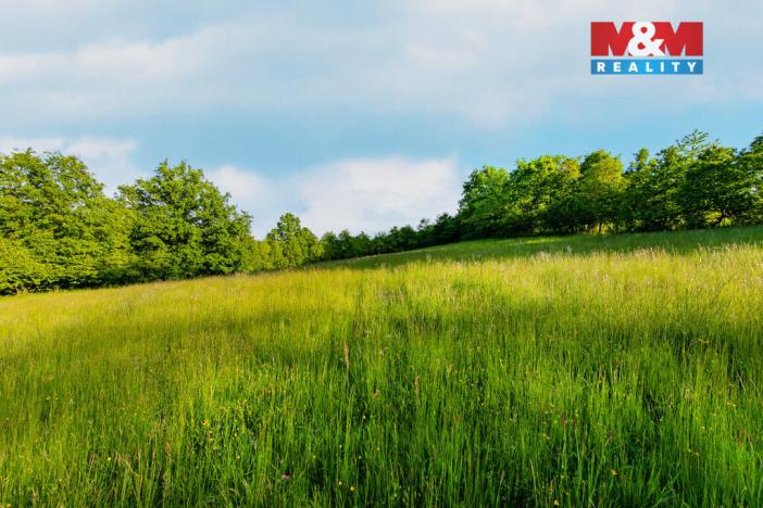 Prodej louky, Jílové u Prahy, 18692 m2